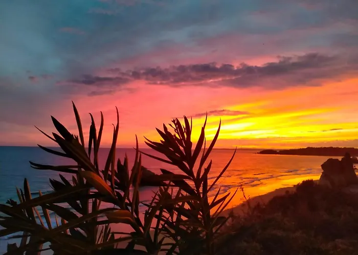 Apartament Ocean View